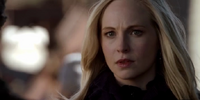 Caroline F 5X16