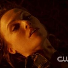 Jules The Vampire Diaries Wiki Fandom As the vampires and everything supernatural became mainstream, this show has taken the role of the primary supernatural medium for teens. jules the vampire diaries wiki fandom
