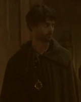 Hamlet by Matt Felten