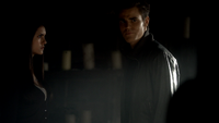 TVD312-012-Elena-Stefan~Bonnie