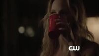 Klarolinewebclip4x177