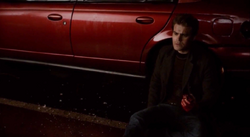 Stefan with Enzo's heart