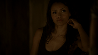 TVD221-100-Bonnie