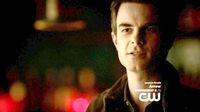 Kol4x222