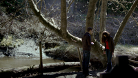 TVD101-072-Stefan-Elena