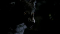 TVD302-130-Werewolf.png (896 KB)