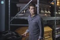TVD705 Stefan.jpg (52 KB)