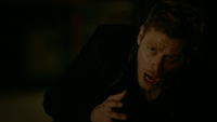 TO509-104-Klaus