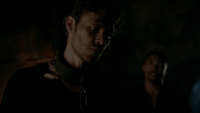 TO401-142-Klaus