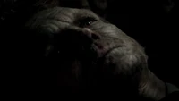 TVD305-176-Mikael.png (1.13 MB)