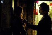 Tvd5x22 7