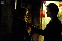 Tvd5x22 7