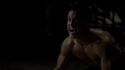 Tyler breaking Sire bond.