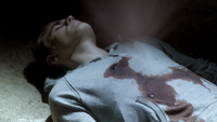 TVD205-106-Stefan.png (2.04 MB)