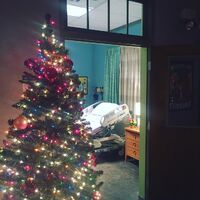 It's Christmas in Mystic Falls ©Brian Young October 6, 2015