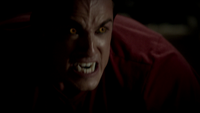 TVD302-142-Tyler