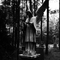 Mystic Falls Cemetery.jpg (110 KB) Filming in the cemetery September 16, 2015