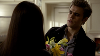 TVD116-040~Elena-Stefan