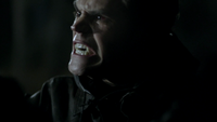 TVD117-139-Stefan