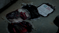 TVD317-059-Blood Bags