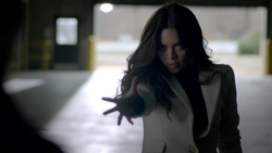 716-056-Nora.png