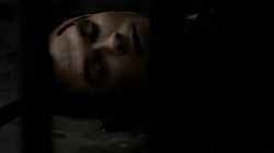 Aaron shoots Damon after he confesses that he was the one who killed Aaron's family