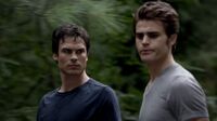 Stefan and Damon