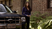 TVD108-063-Elena