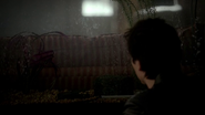 The cure in Katerina Petrova's fish tank.