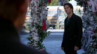 7X09-75-Damon