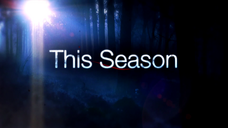 EpisodesSeasons