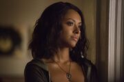 TVD802promo Bonnie