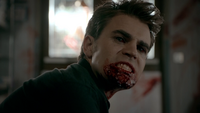 808-109-Stefan-Damon