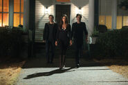 Stand by Me - Elena, Damon, and Stefan