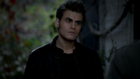 TVD311-016-Stefan