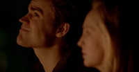 Stefan-Care 5x20