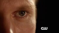 The Vampire Diaries 6x02 Extended Promo - Yellow Ledbetter -HD-.mp4 snapshot 00.02 -2014.10.03 19.19.00-