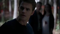 7X07-113-Stefan.jpg (47 KB)