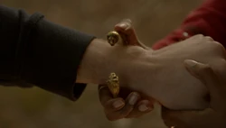 Enchanted Bangle