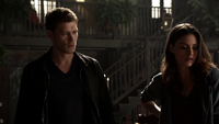 TO203-002-Klaus-Hayley