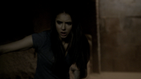 TVD219-008-Elena