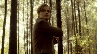 7X06-10-Stefan.jpg (100 KB)