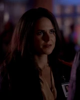 TO302-Reporter.png (164 KB) Reporter by Jenny Gulley