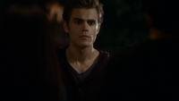 TVD113-073-Stefan