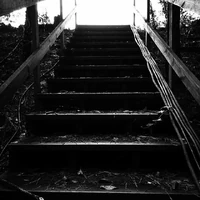 Mystic Falls Woods.jpg (71 KB) Filming in the woods September 12, 2015