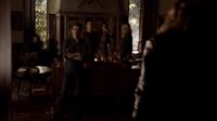 Delena511-8