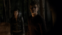 TVD113-133-Elena-Stefan