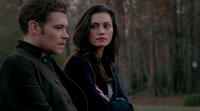 TO313-021-Klaus-Hayley