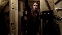 TVD214-087-Elena-Stefan