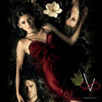TVDForever-Damon-Elena-Stefan-S3.jpg (222 KB)